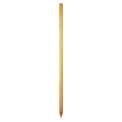Baumpfahl  6 x 250 cmgefräst, gefast, gespitzt, kdi-grün