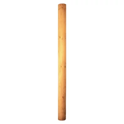 Palisade  14 x 50 cmgefräst, gefast, kdi-grün