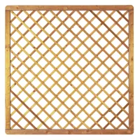 Avantgarde-Serie Diagonal-Rankgitter 180 x 180 cm, MW 10 x 10, kdi-grün Rahmen 45/68 mm, Gitter geklammert